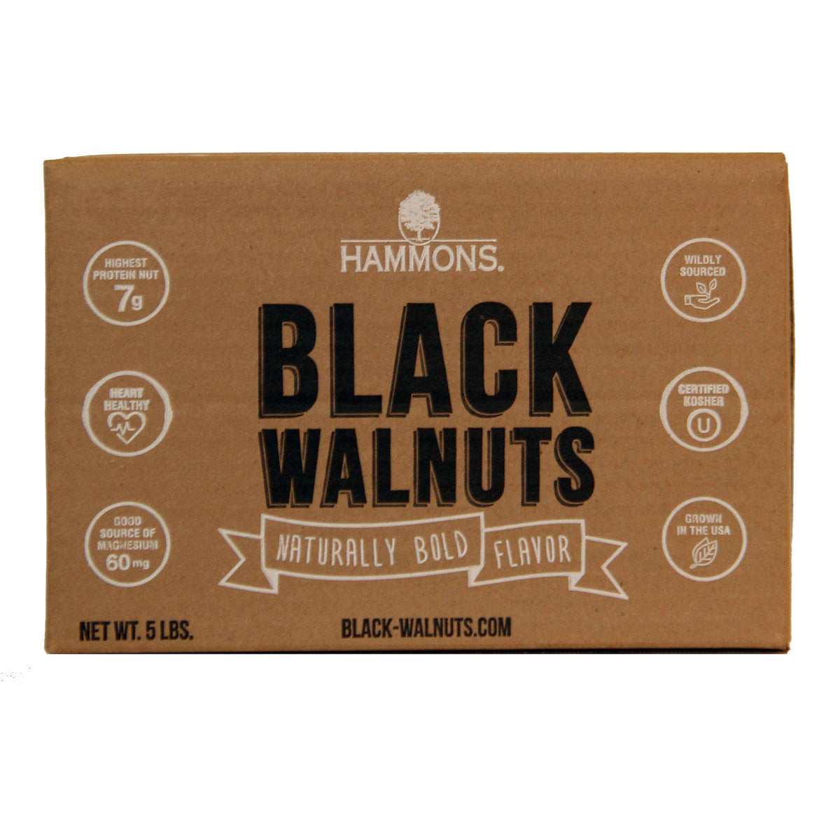 Hammons Black Walnuts – Fancy Large Kernels 5 lb