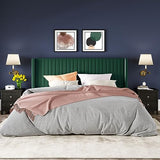 Allewie Queen Size Velvet Bed Frame/Vertical Channel Tufted Wingback Headboard/Upholstered Platform Bed/Strong Wooden Slats/No Box Spring Needed/Easy Assembly/Black